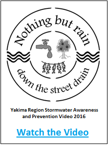 Stormwater Video