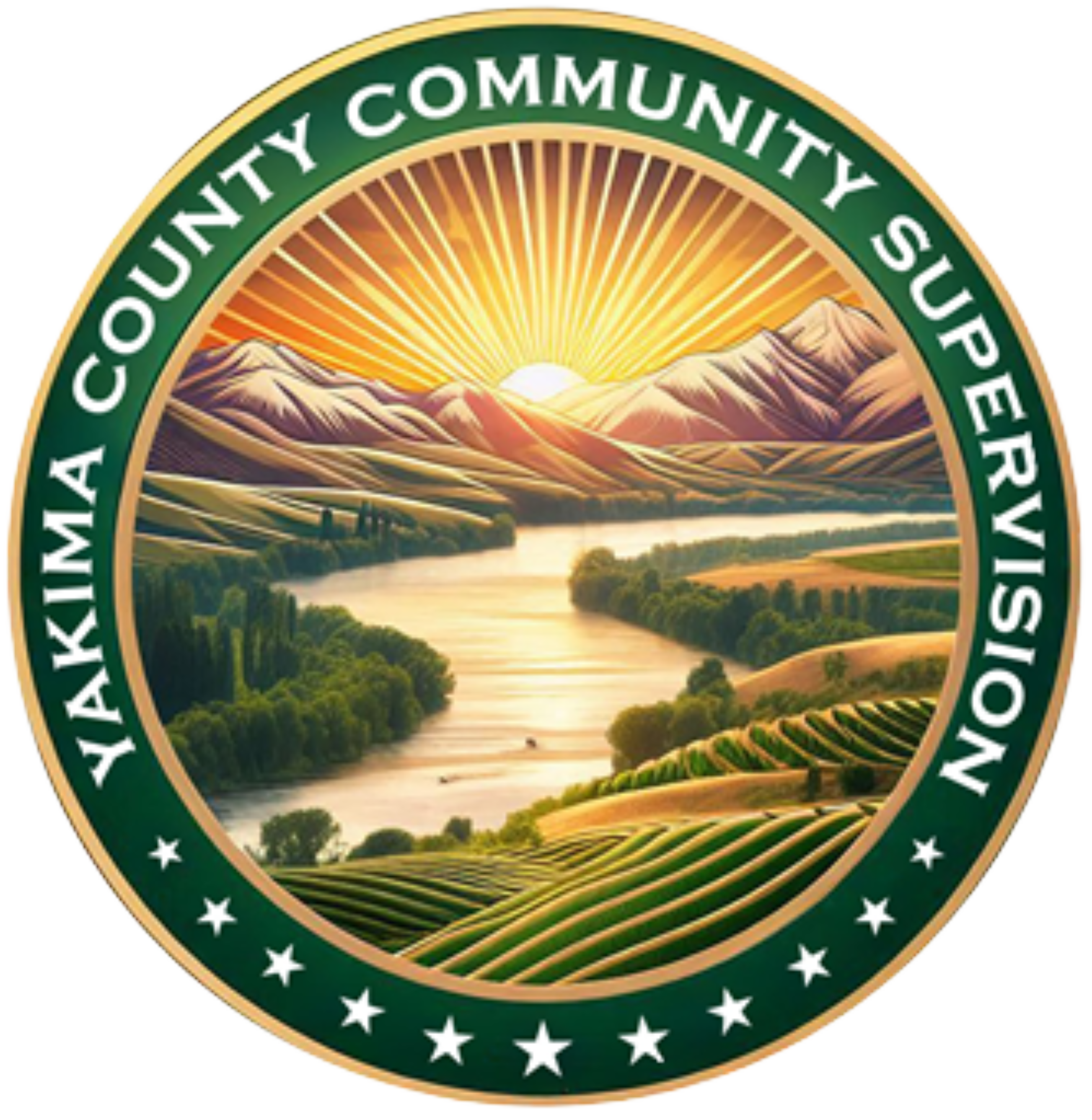 Community Supervision Logo1