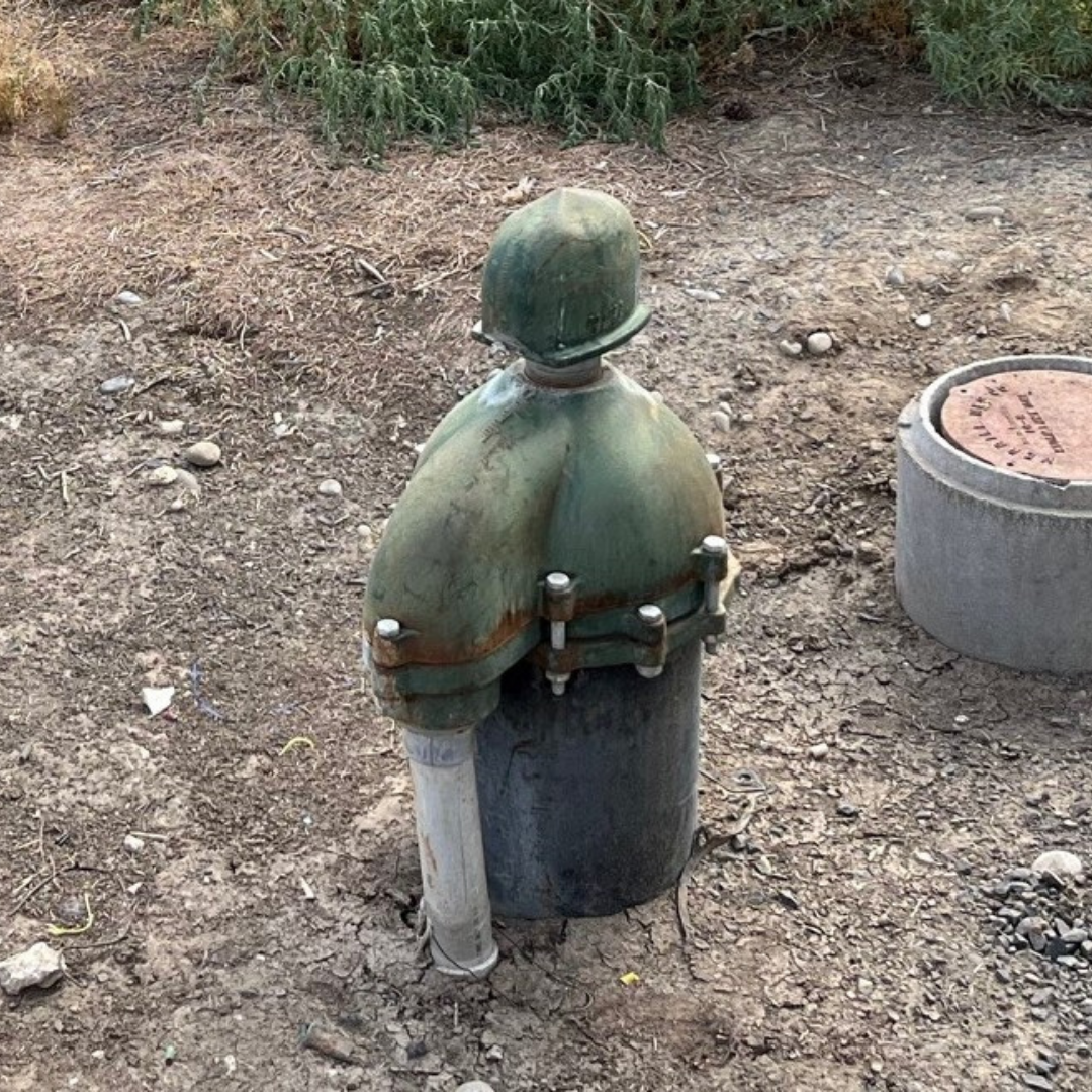 Sanitary well cap picture