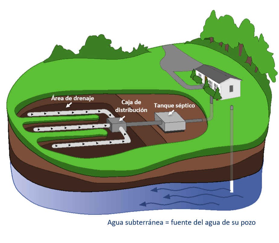 SPA septic system diagram